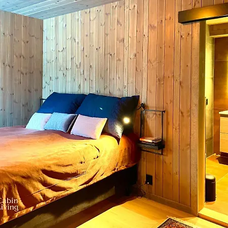 Eye-catching Cabin Proximity Everything Nesfjellet