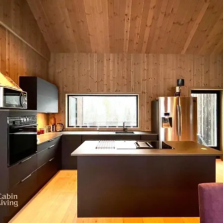 Eye-catching Cabin Proximity Everything Nesfjellet