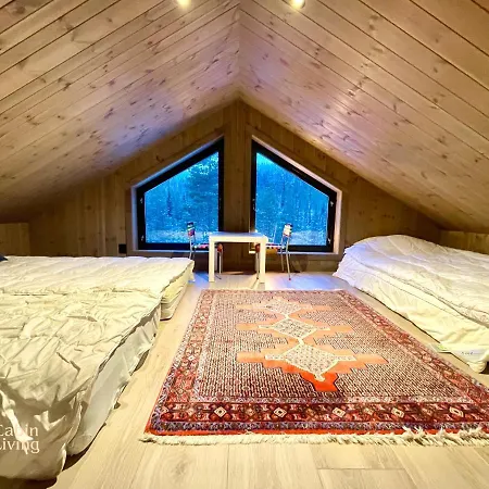 Eye-catching Cabin Proximity Everything Nesfjellet Nesbyen