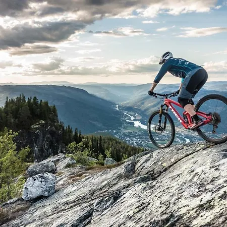Eye-catching Cabin Proximity Everything Nesfjellet * Nesbyen