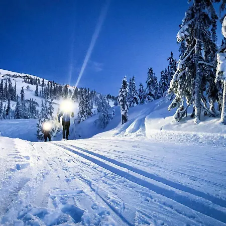 Eye-catching Cabin Proximity Everything Nesfjellet Nesbyen